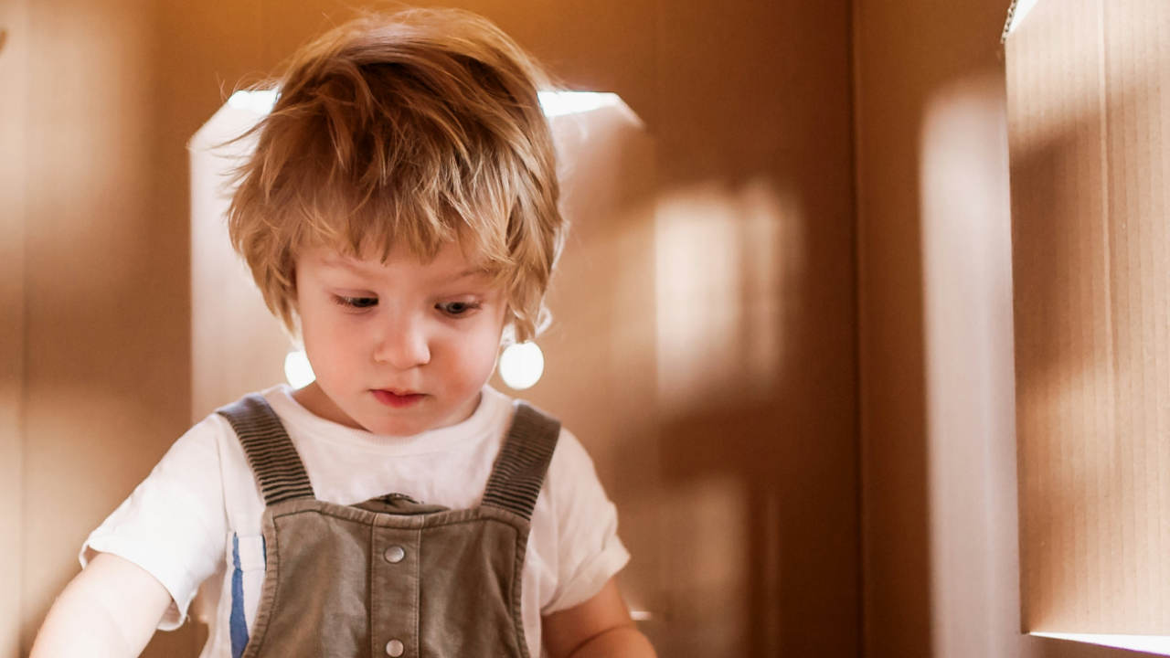 Krehká generácia: prečo nás pohodlný svet robí zraniteľnejšími voči úzkosti